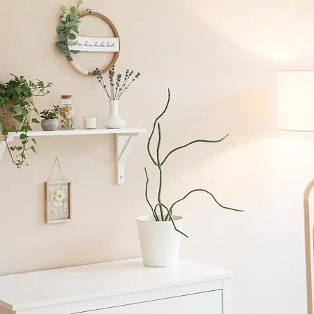 Relax - Fuer Familien, Stadtnah, Mit Parkplatz Appartement Koblenz (Rhineland-Palatinate)